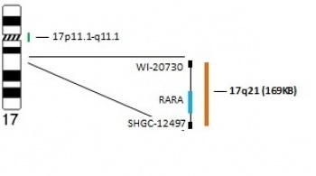 RARA_CEP17